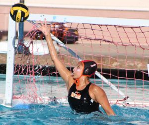 Water Polo Is Back