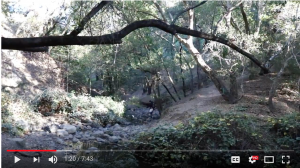 Student Film: Daniel Moreno