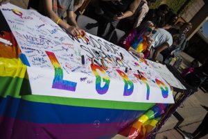 Peace Week Recap