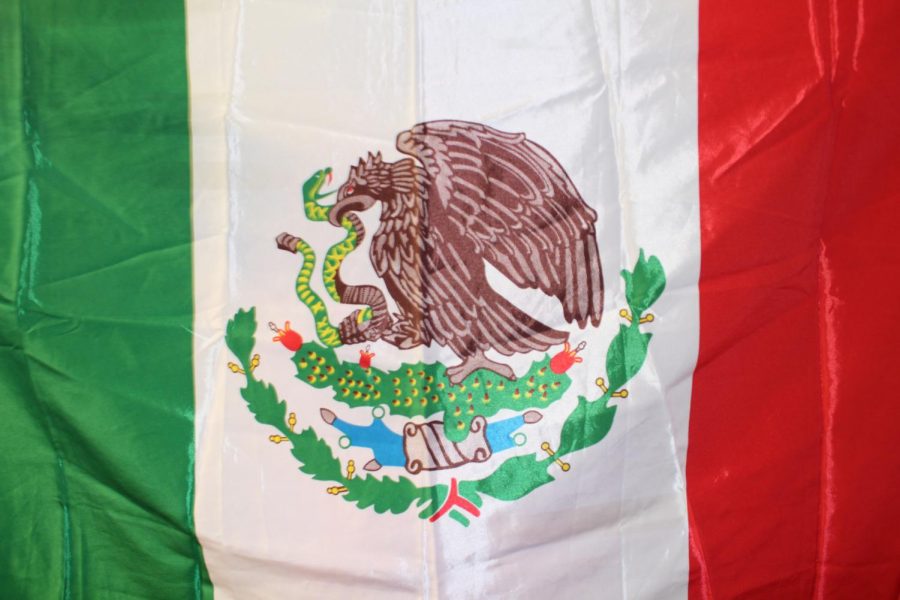 The Mexican flag representing a strong culture and also my family.