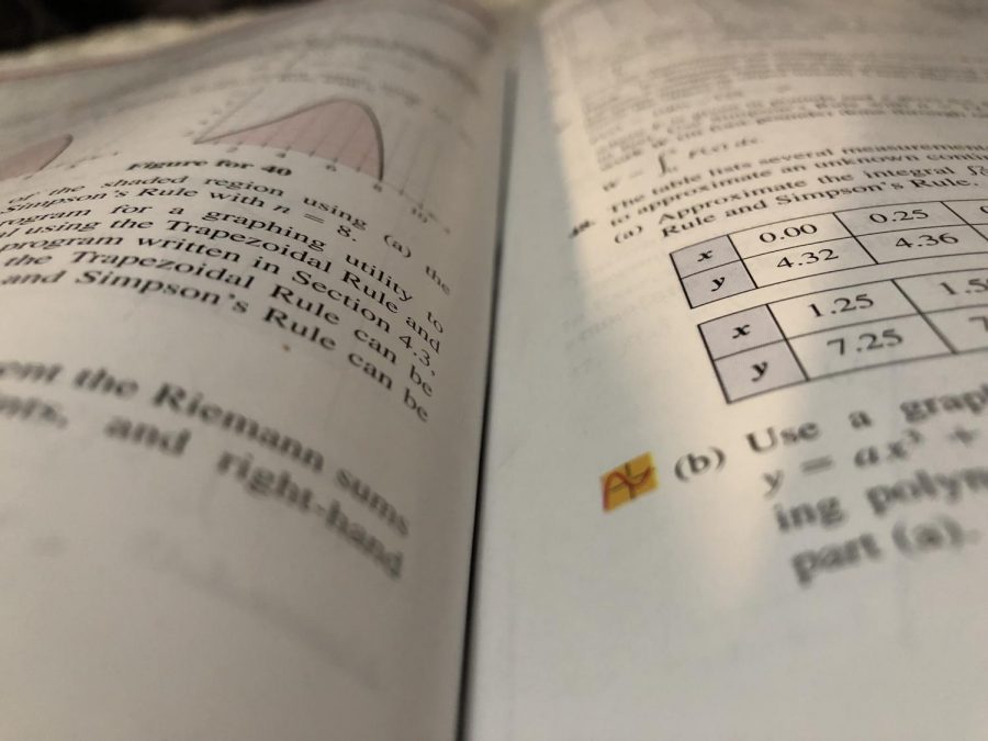 A student studies from a calculus textbook.