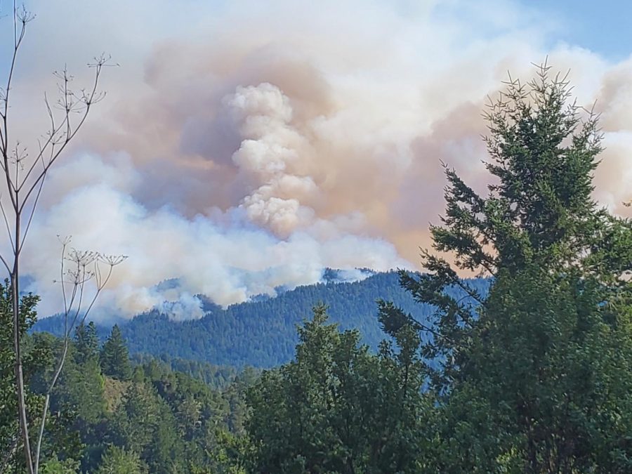 The 5-14, 5-15, and the 5-18 fires (pictured here) in San Mateo County have burned a total of 604 acres and are 0% contained, according to CALFIRE.