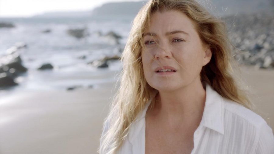 SPOILER ALERT: As the main character, Meredith Grey (Ellen Pompeo), suffers from COVID, she begins to go to a beach in her mind where she reunites with many characters from her past. 
