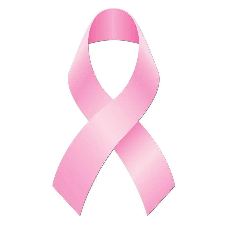 A pink ribbon symbolizes breast cancer awareness and inspired the name for the Pink Ribbon Club. 