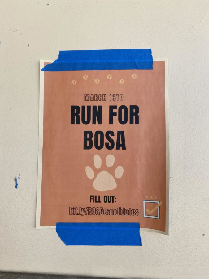 To get campaigners for the March 16 BOSA elections, leadership members created posters around the school. 