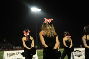 The dance team performs not only at halftime, but also on the sidelines and at their own show at the end of the year.