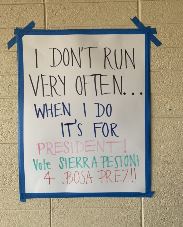 Pestonis campaign posters have a comical twist and can be found around Woodsides campus.