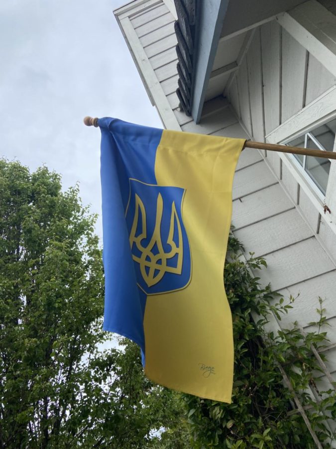 Pride and support for Ukraine is not just present in Ukraine as Americans fly Ukrainian flags outside their homes.
