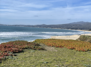 Walking the Half Moon Bay Coastal Trail is a great way to experience the cliffs and the beach.