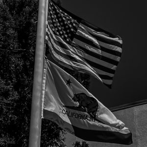 A flag of the United States and the California Republic flies in the air. 
