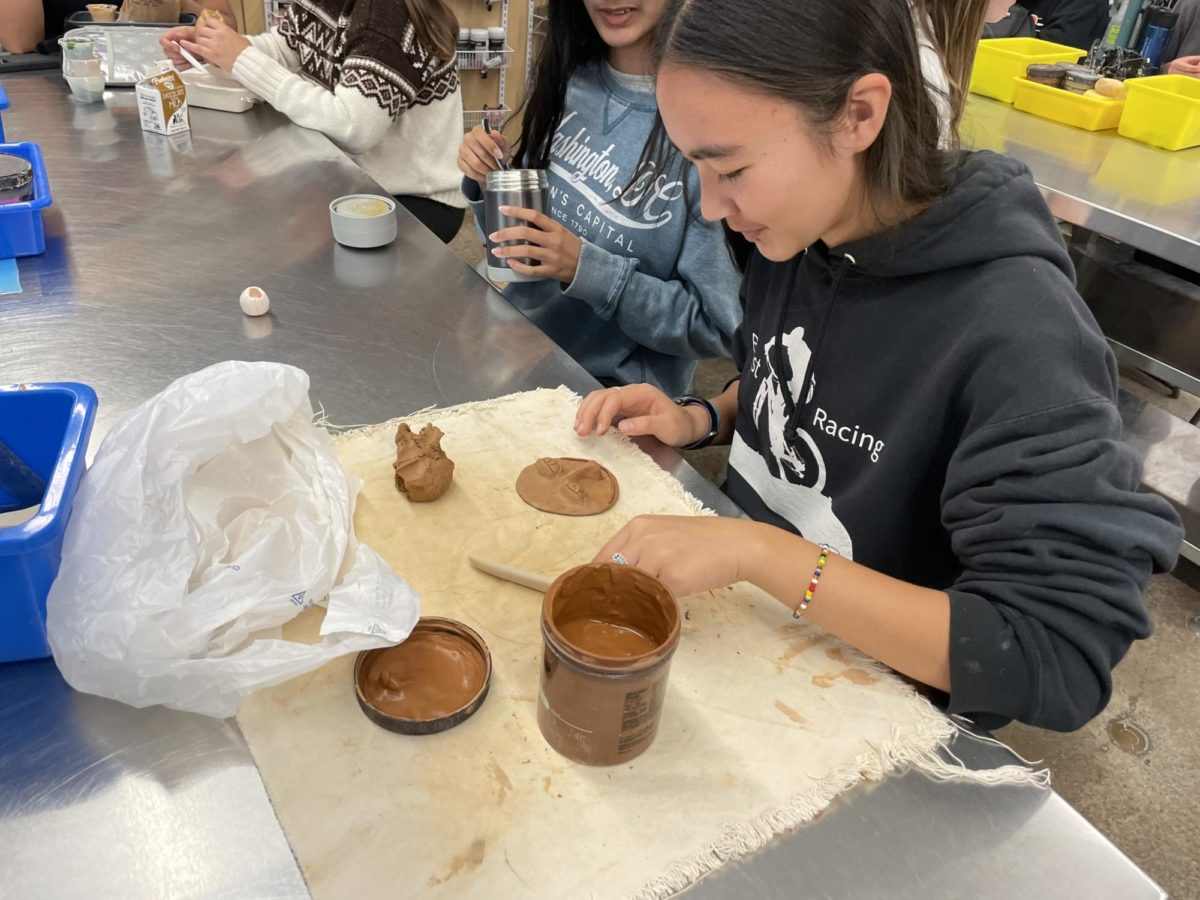 Freshman Leia Tu is working on a clay creation in Ceramics Club.