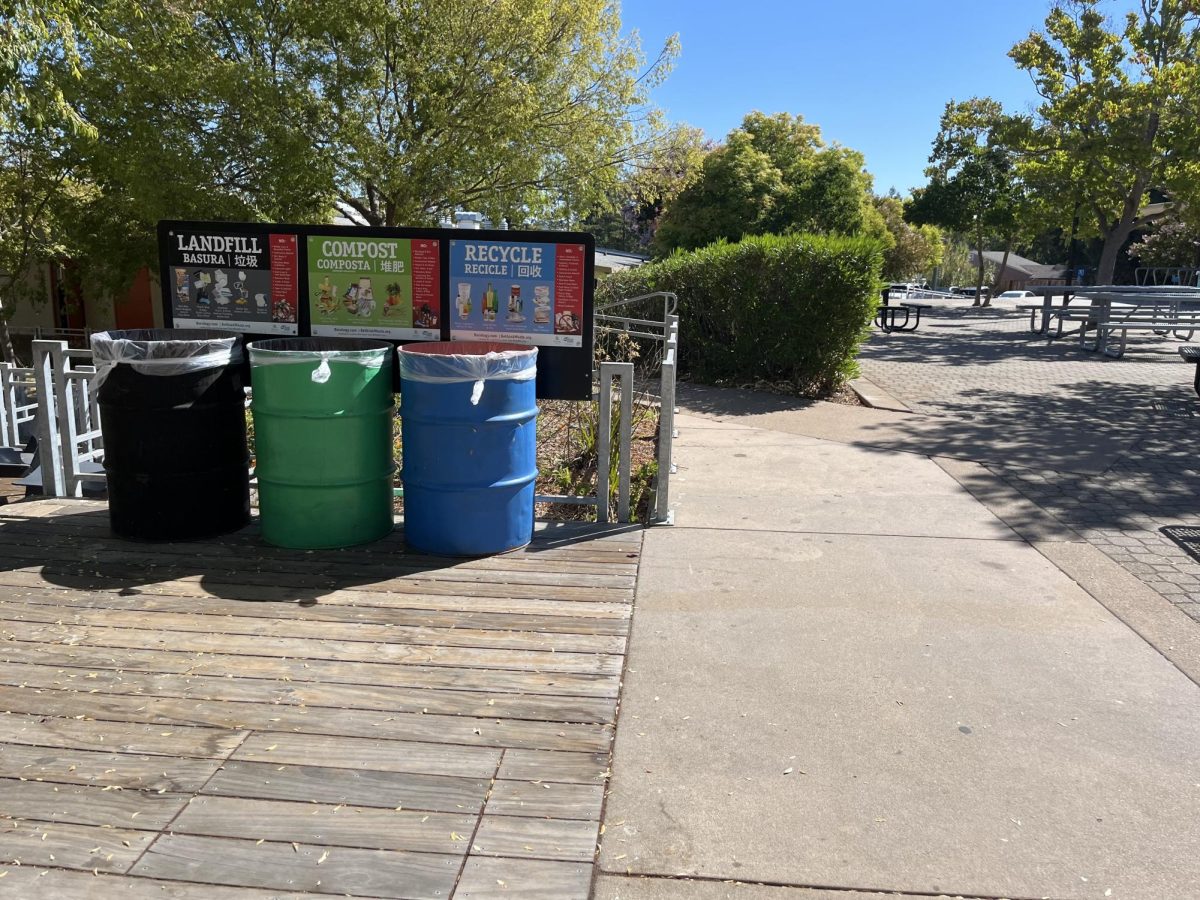 New signs above the trash bins were introduced this year. They include examples of what goes where and demonstrates the importance of organizing/managing students' trash.