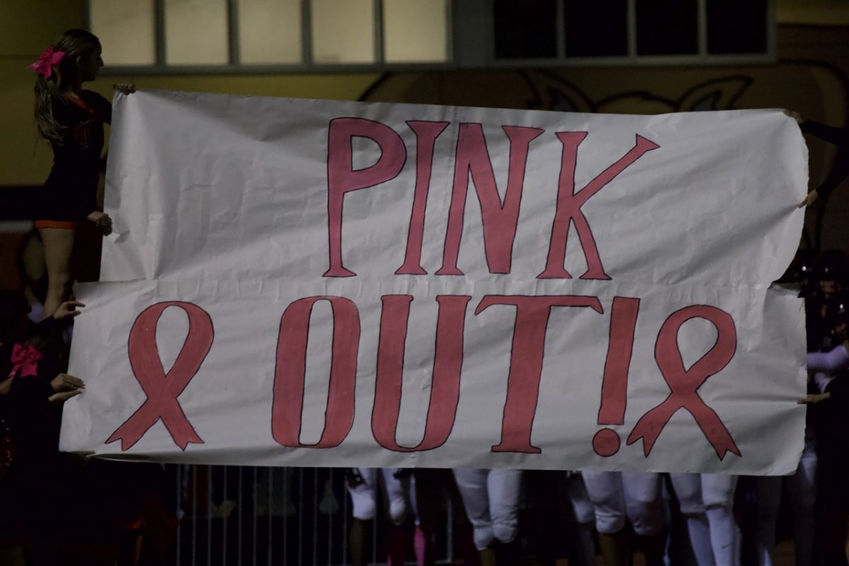 The theme of the Homestead game was "Pinkout" for Breast Cancer awareness. 