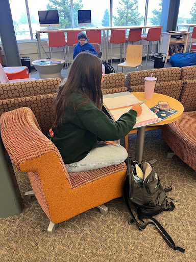 Junior Brianna Mora studying in the library for an upcoming test. 