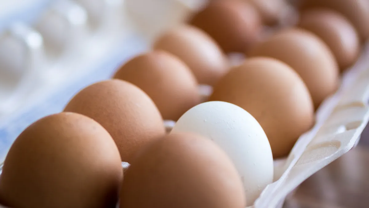 A carton of eggs, a commodity that is becoming more scarce as avian flu ravages the US.