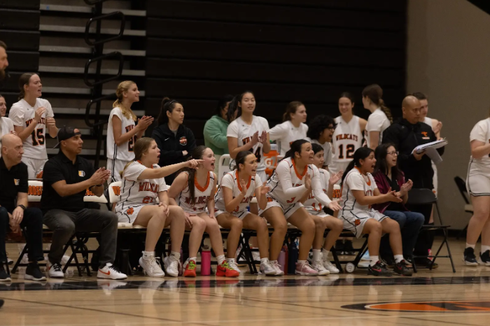 Woodside girls JV team cheers on fellow players during overtime.