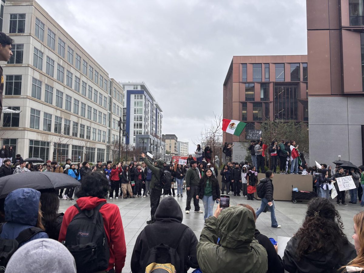 Students protest at the Redwood City Superior Court for immigration rights.