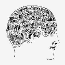 Cartoon showing reasons why someone should take a psychology class.