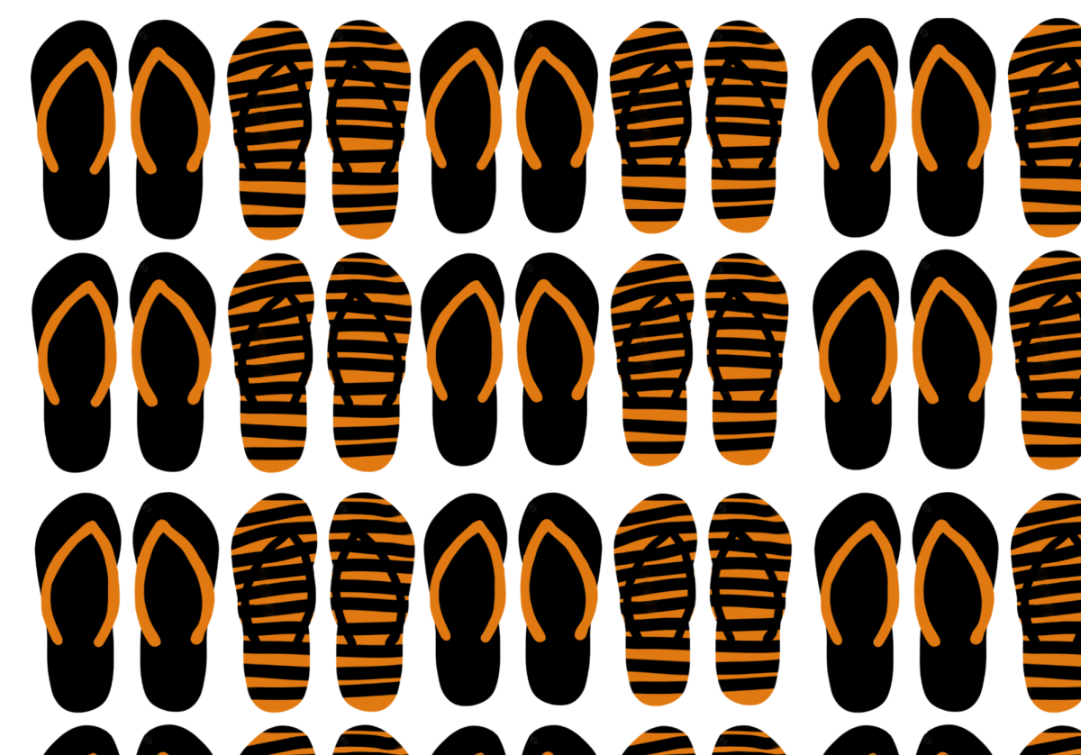 Flip-flops in Woodside school colors lined up next to one another.