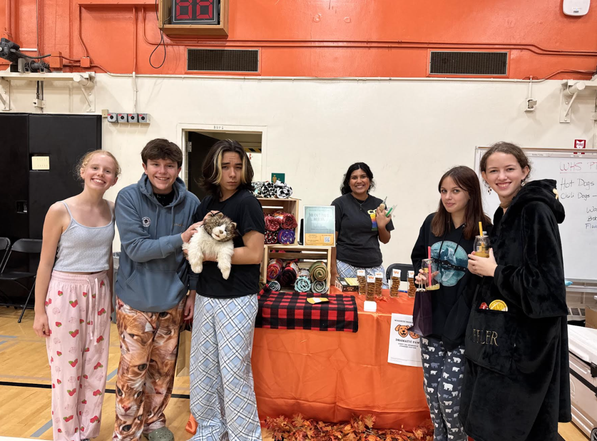 Photograph of Drama Boosters selling dog/cat mats and dog biscuits.